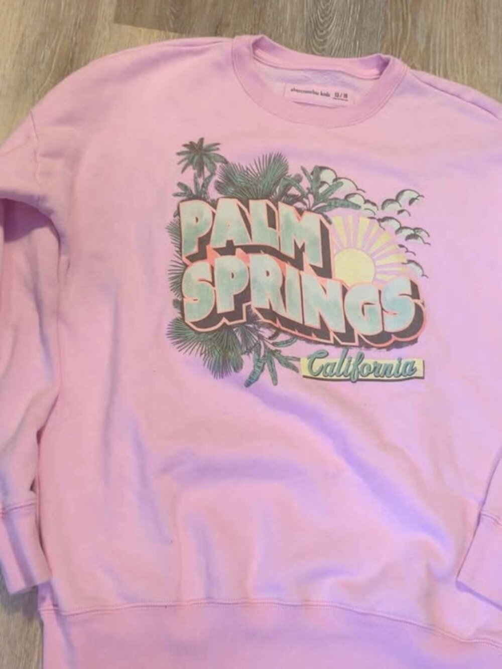 Abercrombie Kids pink Palm Springs California sweatshirt 15/16